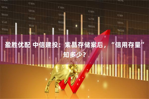 盈胜优配 中信建投：紫晶存储案后，“信用存量”知多少？