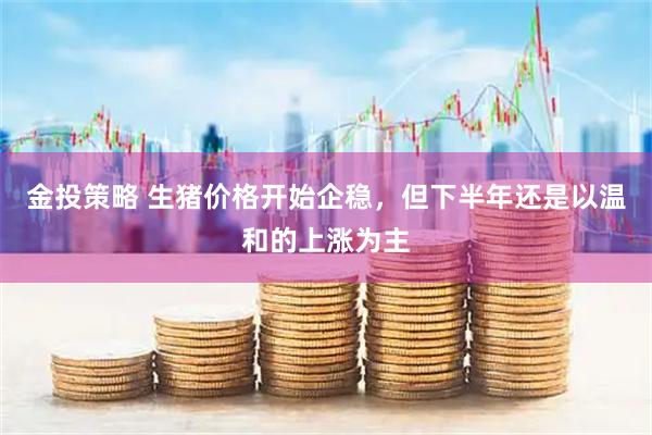金投策略 生猪价格开始企稳，但下半年还是以温和的上涨为主